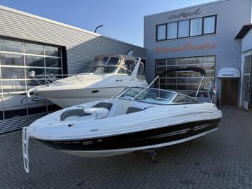 Sea Ray 200 Sundeck (bj 2011) beschikbaar voor biedingen