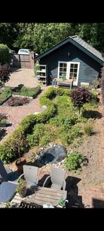 beukenhaag +-12 meter alles in een keer meenemen., Tuin en Terras, Planten | Struiken en Hagen, Ophalen, Beukenhaag, Minder dan 100 cm