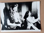 Savage Eye film foto naakt erotiek, Verzamelen, Foto's en Prenten, Verzenden, 1960 tot 1980, Gebruikt, Overige onderwerpen