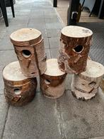 Nestkasten voor grasparkieten, Meerdere dieren, Parkiet