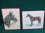 Paarden tekeningen., Antiek en Kunst, Kunst | Tekeningen en Foto's, Verzenden