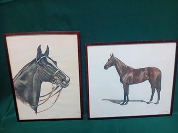 Paarden tekeningen. beschikbaar voor biedingen