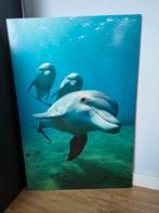Wanddecoratie Dolfijn fotoschilderij, Huis en Inrichting, Woonaccessoires | Schilderijen, Tekeningen en Foto's, Ophalen, Zo goed als nieuw