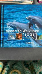 Vissen en Walvissen - 1001 Foto's, Ophalen of Verzenden, Zo goed als nieuw, Natuur algemeen