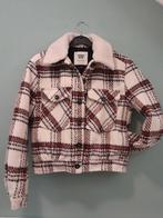 Winter jas, Kleding | Dames, Jassen | Winter, Ophalen of Verzenden, Maat 34 (XS) of kleiner, America Today, Gedragen