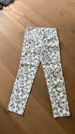 Daily sports golf broek, Kleding | Dames, Ophalen, Zo goed als nieuw, Maat 36 (S)