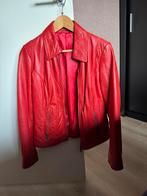 Rode leren jas maat 36, Ophalen of Verzenden, Zo goed als nieuw, Jasje, Maat 36 (S)