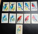 Oude Bolletje Vogelplaatjes, Ophalen of Verzenden, Gebruikt, Gebruiksvoorwerp