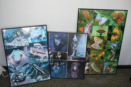 3 fotolijsten metalen rand 1 x kunststof, Audio, Tv en Foto, Fotografie | Fotolijsten, Gebruikt, Ophalen
