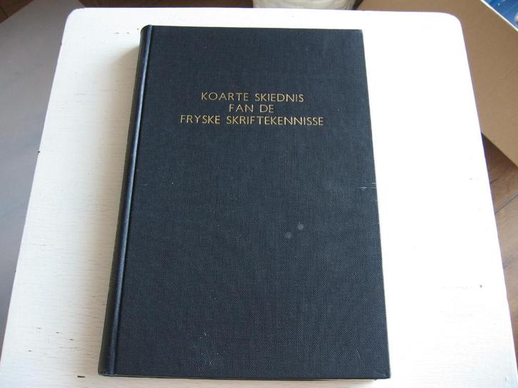 Geschiedenis Friese Letterkunde, Boeken, Literatuur, Gelezen, Nederland, Ophalen of Verzenden