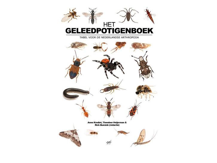 Het geleedpotigenboek - Nieuw mieren nederland, Boeken, Studieboeken en Cursussen, Nieuw, Niet van toepassing, Alpha, Ophalen of Verzenden