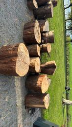 Boomstammen te koop, Tuin en Terras, Haardhout, Minder dan 3 m³, Ophalen of Verzenden, Overige houtsoorten, Stammen