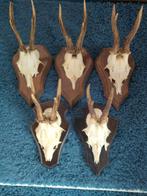 Reewild geweitjes + Kaak., Ophalen of Verzenden, Gebruikt, Beeldje of Figuurtje