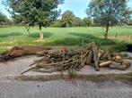 brandhout ongekloofd, met name eiken, 3 tot 6 m³, Ophalen, Eikenhout, Stammen