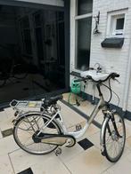 Vanspeijk E bike defect, Fietsen en Brommers, Elektrische fietsen, Ophalen, Gebruikt, 50 km per accu of meer, Overige merken