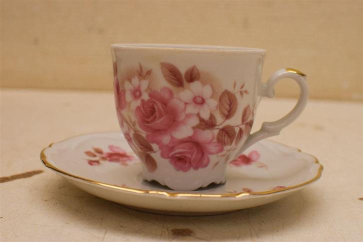 Tirschenreuth Bavaria porseleinen kop en schoteltje 48364, Huis en Inrichting, Keuken | Servies, Gebruikt, Ophalen of Verzenden