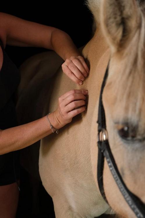 Paardenmassage, NMES, Guasha. Rugklachten paard, Diensten en Vakmensen, Dieren | Paarden | Verzorging, Oppas en Les