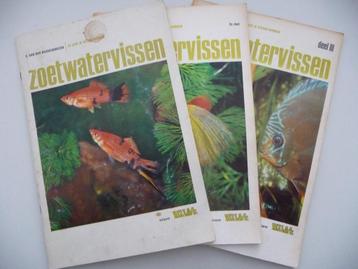 3 plaatjesboeken -ZOETWATERVISSEN deel 1,2,3 - uitgave RIZLA beschikbaar voor biedingen