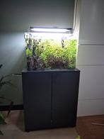 Dennerle scaperstank 70 liter opticwhite,oase 250,wrgb2 pro, Dieren en Toebehoren, Vissen | Aquaria en Toebehoren, Ophalen, Zo goed als nieuw