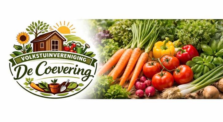 Volkstuin te huur in Geldrop, Tuin en Terras, Overige Tuin en Terras, Gebruikt, Ophalen