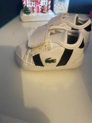 Lacoste babyschoentjes maat 15 beschikbaar voor biedingen
