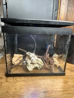 Aquarium met alle toebehoren, Ophalen of Verzenden, Gebruikt, Leeg aquarium