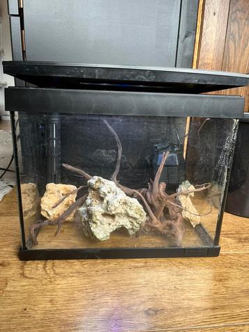 Aquarium met alle toebehoren beschikbaar voor biedingen