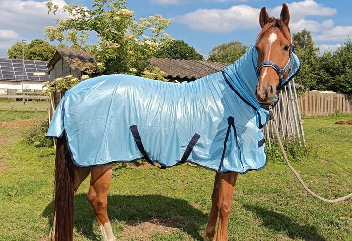 Nieuwe Blauwe Vliegendeken met vaste Hals Maat 185, Dieren en Toebehoren, Paarden en Pony's | Dekens en Dekjes, Nieuw, Deken, Ophalen of Verzenden