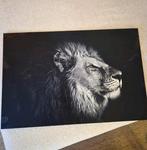 Foto leeuw op stalen plaat 60 x 40 cm, Huis en Inrichting, Woonaccessoires | Schilderijen, Tekeningen en Foto's, Ophalen of Verzenden