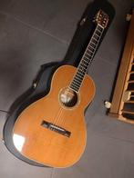 Cort L900P Parlor Gitaar met Fishman ellips blend Preamp, Muziek en Instrumenten, Snaarinstrumenten | Gitaren | Akoestisch, Ophalen of Verzenden