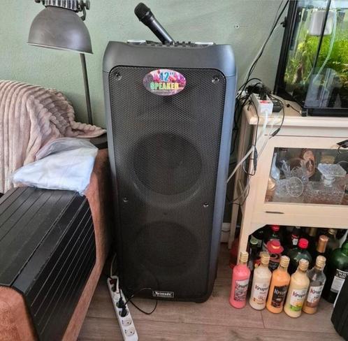 Merendeel professionele adios  12" speaker, Audio, Tv en Foto, Karaoke-apparatuur, Zo goed als nieuw, Ophalen
