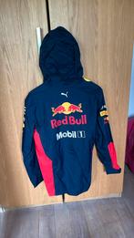 Red Bull Racing jas F1. Max Verstappen, Nieuw, Maat 46 (S) of kleiner, Blauw, Ophalen of Verzenden