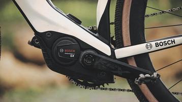 PARTIJEN E-BIKES GEZOCHT! INRUIL/ EX VERHUUR. beschikbaar voor biedingen