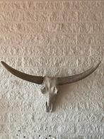 Polystone stierenkop / schedel mooie kwaliteit, Huis en Inrichting, Ophalen of Verzenden, Zo goed als nieuw