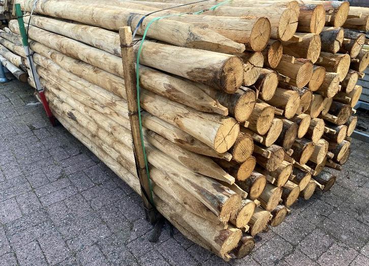 Kastanje palen rond diverse afmetingen nieuw, Tuin en Terras, Palen, Balken en Planken, Nieuw, Palen, 250 cm of meer, Ophalen