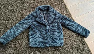 Jas winter, gallery118 - grey black zebra  - L goosecraft beschikbaar voor biedingen