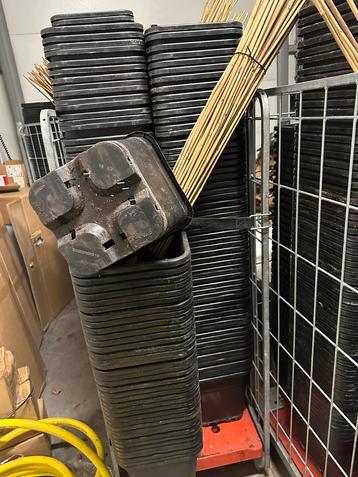 Bloempotten met bamboestokken beschikbaar voor biedingen