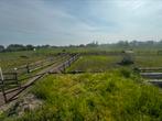 Gezocht stalling/ weide eigen beheer Dinteloord/ Steenbergen, Weidegang, 4 paarden of pony's of meer