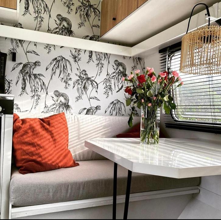 Te huur: Hippe retro/vintage Regenboog Kip caravan, Caravans en Kamperen, Verhuur