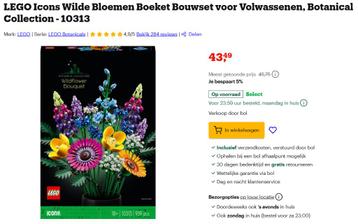 VERKOCHT LEGO Icons Wilde Bloemen Boeket Botanical 10313 beschikbaar voor biedingen