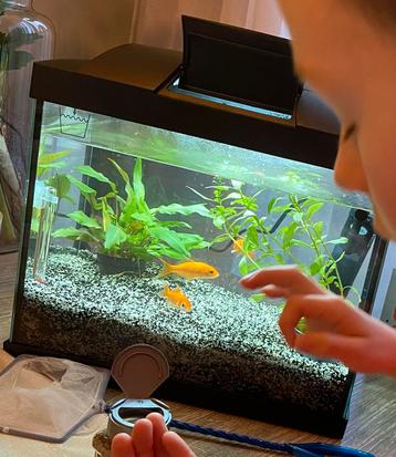 Aquarium te koop beschikbaar voor biedingen