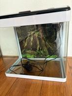 Mooie superfish panorma aquarium 35L, Dieren en Toebehoren, Ophalen, Zo goed als nieuw