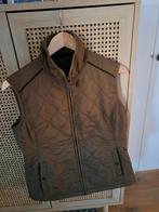 Dubarry Bodywarmer - Maat 40 (UK 14) - Nieuwstaat, Kleding | Dames, Bodywarmers, Dubarry, Ophalen of Verzenden, Nieuw, Maat 38/40 (M)