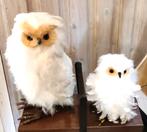 Mooie  UIL met jong Met echte veren, Verzamelen, Dierenverzamelingen, Ophalen of Verzenden, Zo goed als nieuw, Vogel, Opgezet dier