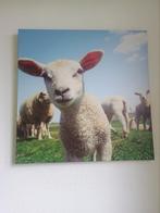 Schapen schilderij 80x80cm, Huis en Inrichting, Woonaccessoires | Schilderijen, Tekeningen en Foto's, Ophalen, Zo goed als nieuw