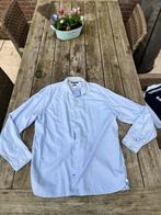 Tommy Hilfiger overhemd maat XXL, Kleding | Heren, Blauw, Tommy Hilfiger, Ophalen of Verzenden, Overige halswijdtes