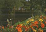 K5816 Ongelopen ansichtkaart kasteel stein bloemen border, Verzamelen, Ansichtkaarten | Nederland, Ophalen of Verzenden, Ongelopen