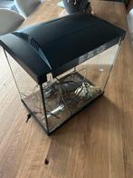 SUPERFISH Aquarium 25 liter, Dieren en Toebehoren, Vissen | Aquaria en Toebehoren, Ophalen, Zo goed als nieuw, Leeg aquarium