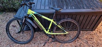 Mountain bike decathlon  beschikbaar voor biedingen