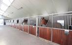 Pensionstalling aangeboden in Sprundel, Dieren en Toebehoren, Stalling en Weidegang, Stalling, 1 paard of pony